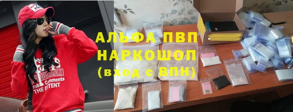 крисы Верхний Тагил