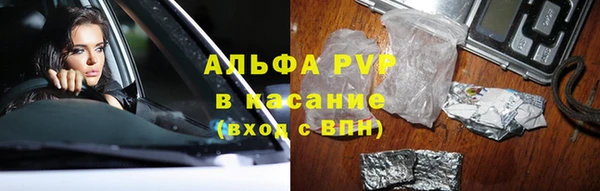 крисы Верхний Тагил