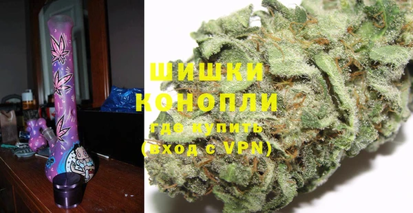 крисы Верхний Тагил