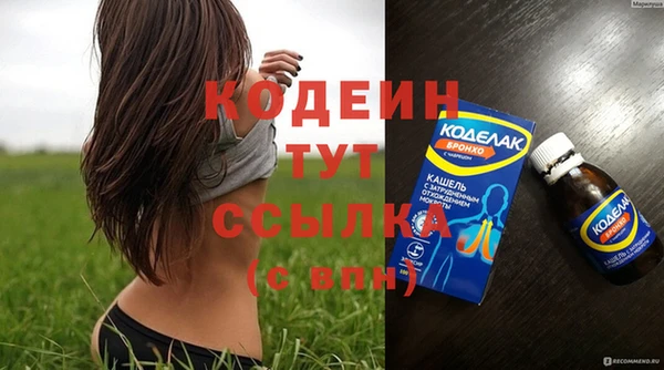 крисы Верхний Тагил
