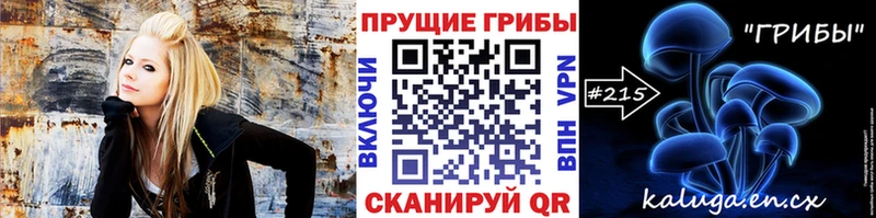 закладка  Щигры  Псилоцибиновые грибы ЛСД 
